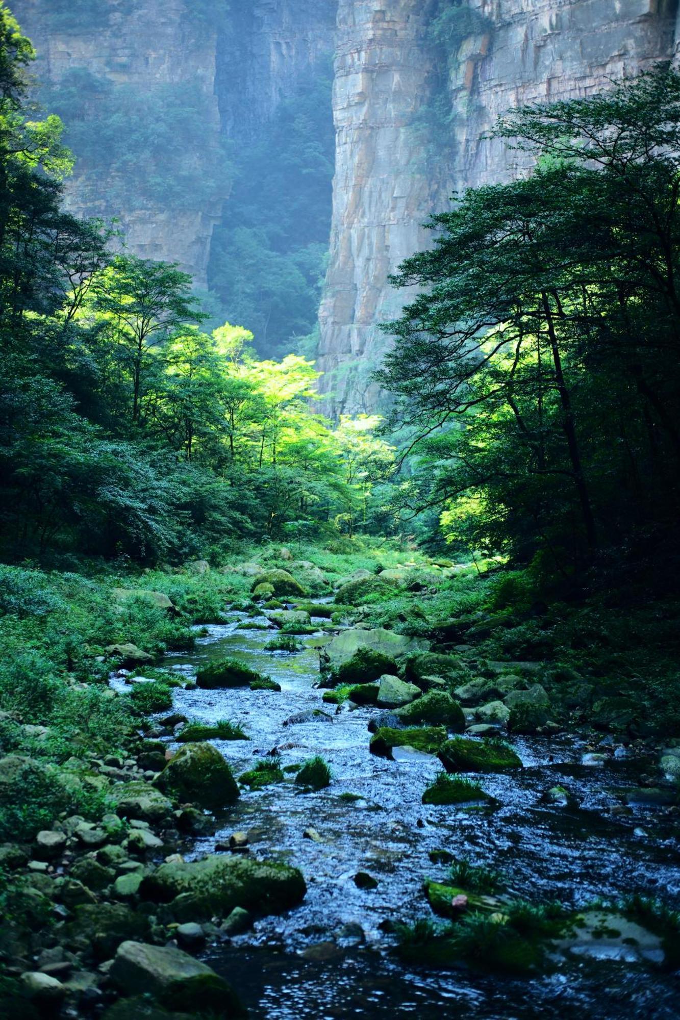 Zhangjiajie Forest Park Youth Hostel Bagian luar foto