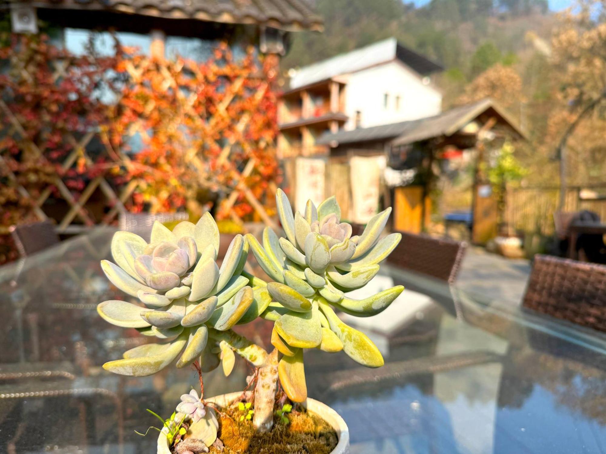 Zhangjiajie Forest Park Youth Hostel Bagian luar foto